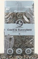Kaktus ja mehikasvi mineraalikasvupohja, Cacti & succulent mineral mix