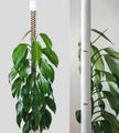 Plantscraper tukitolppa kehikko, valkoinen, kolme kokoa