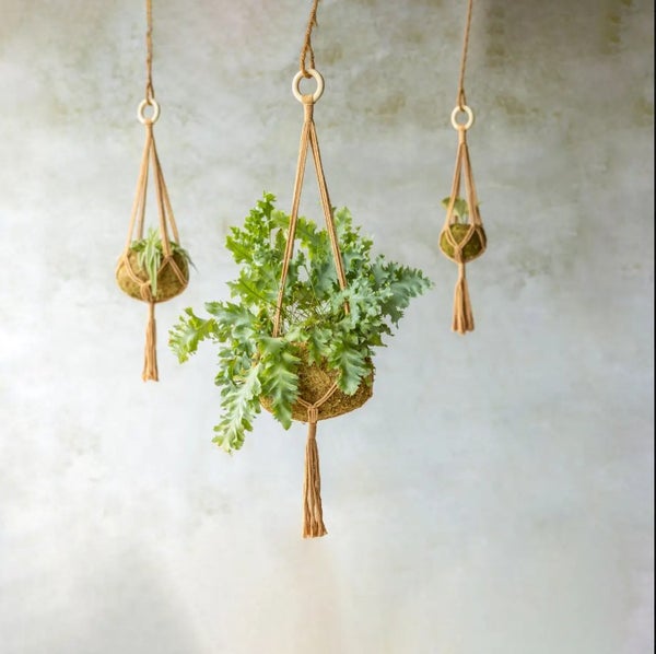 Macrame amppeli ruskea, kolme kokoa