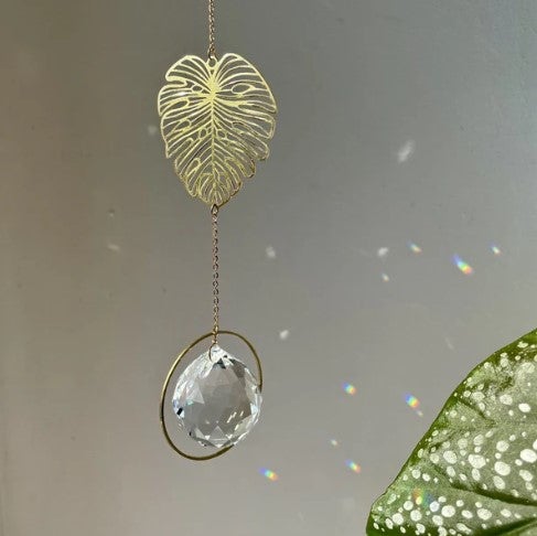 Aurinkosieppari, kristalli ja monstera