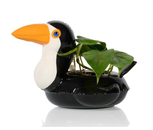 Ruukku,  tucan uimalelu