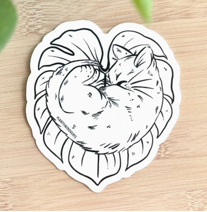 Nukkuva kissa ja Monstera aurinkosieppari