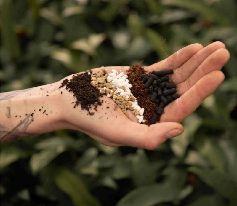 Bonsai kasvupohja antaa juri oikeat olosuhteet herk&auml;lle bonsaillesi