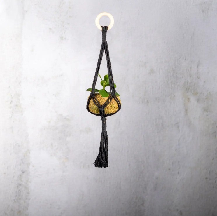 Macrame amppeli on joustava ja siihen sopii monen kokoinen ruukku.