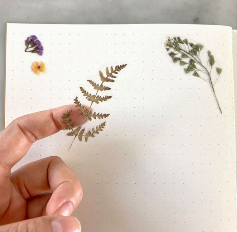 Kukkatarroissa on kivoja lehti&auml;, kukia ja ter&auml;lehti&auml;.