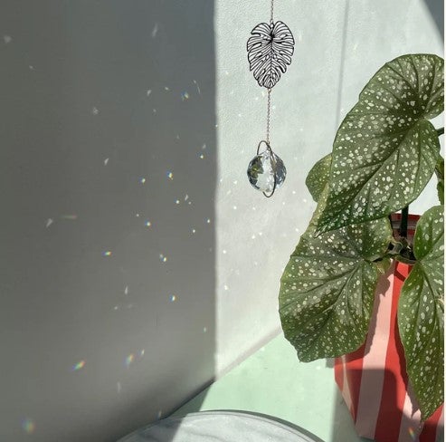 Kristalli aurinkosiepparissa on kaunis monsterakoriste