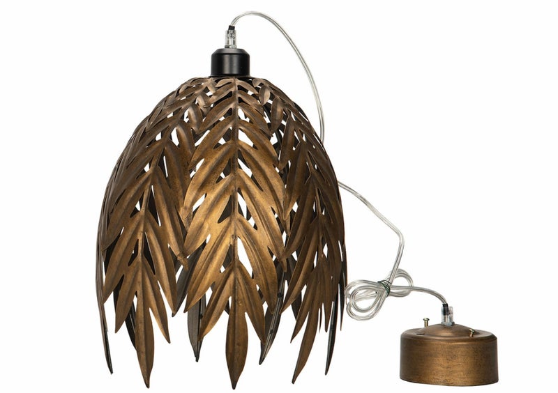 Kattovalaisin, Sonja