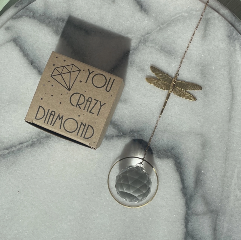 Kaunis aurinkosiepparikoriste sudenkorennolla