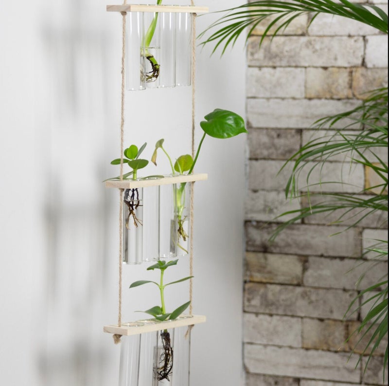 Juurruta pistokkaita kauniisti koeputkitelineess&auml;.