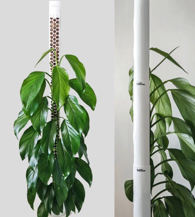 Plantscraper tukitolppa kehikko, valkoinen, kolme kokoa