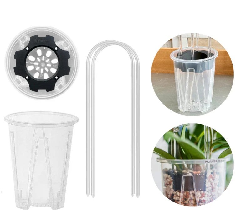 Plantscraper ankkuri kaarikasvituille, 2 kokoa