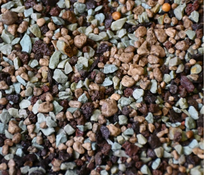 Kaktus ja mehikasvi mineraalikasvupohjassa on lannoitus valmiina 180 p&auml;iv&auml;ksi.